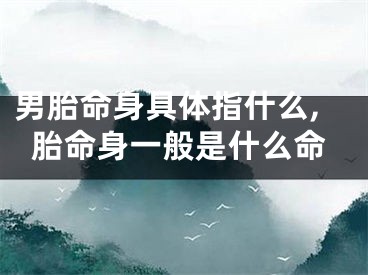 男胎命身具体指什么,胎命身一般是什么命