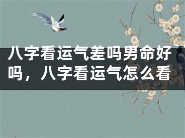 八字看运气差吗男命好吗,八字看运气怎么看