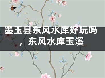 墨玉县东风水库好玩吗，东风水库玉溪