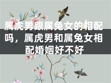 属虎男跟属兔女的相配吗，属虎男和属兔女相配婚姻好不好