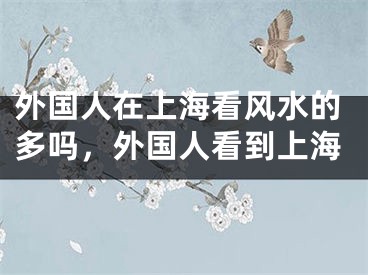 外国人在上海看风水的多吗，外国人看到上海