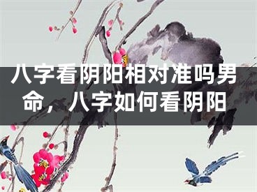 八字看阴阳相对准吗男命，八字如何看阴阳