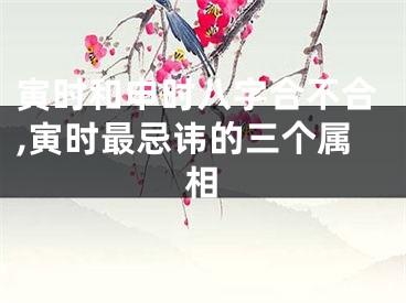 寅时和申时八字合不合,寅时最忌讳的三个属相