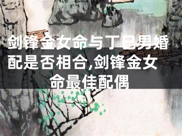 剑锋金女命与丁巳男婚配是否相合,剑锋金女命最佳配偶