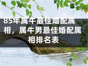 85年属牛最佳婚配属相，属牛男最佳婚配属相排名表