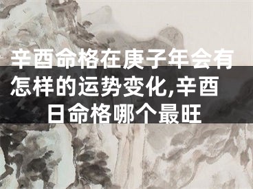 辛酉命格在庚子年会有怎样的运势变化,辛酉日命格哪个最旺