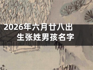 2026年六月廿八出生张姓男孩名字
