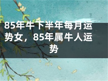 85年牛下半年每月运势女，85年属牛人运势