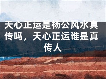 天心正运是杨公风水真传吗，天心正运谁是真传人
