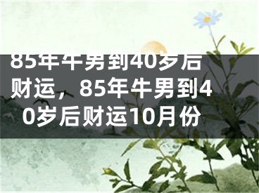 85年牛男到40岁后财运，85年牛男到40岁后财运10月份