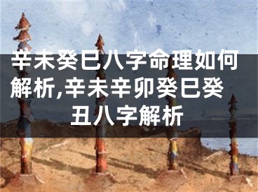 辛未癸巳八字命理如何解析,辛未辛卯癸巳癸丑八字解析
