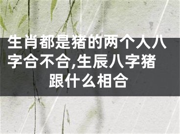 生肖都是猪的两个人八字合不合,生辰八字猪跟什么相合