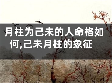 月柱为己未的人命格如何,己未月柱的象征