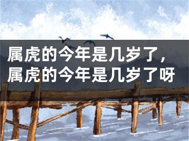 属虎的今年是几岁了，属虎的今年是几岁了呀