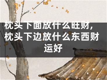 枕头下面放什么旺财,枕头下边放什么东西财运好