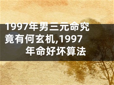 1997年男三元命究竟有何玄机,1997年命好坏算法