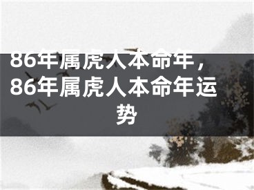 86年属虎人本命年，86年属虎人本命年运势