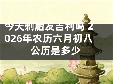 今天剃胎发吉利吗 2026年农历六月初八公历是多少
