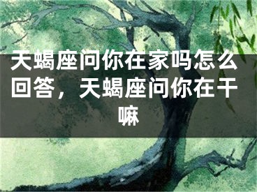 天蝎座问你在家吗怎么回答，天蝎座问你在干嘛