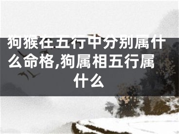 狗猴在五行中分别属什么命格,狗属相五行属什么