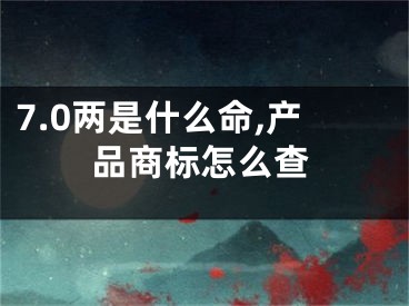 7.0两是什么命,产品商标怎么查