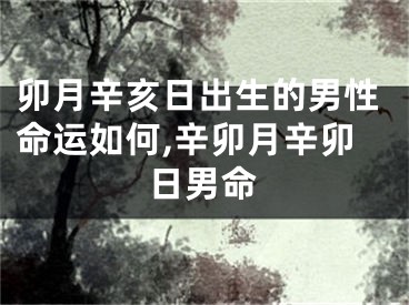 卯月辛亥日出生的男性命运如何,辛卯月辛卯日男命