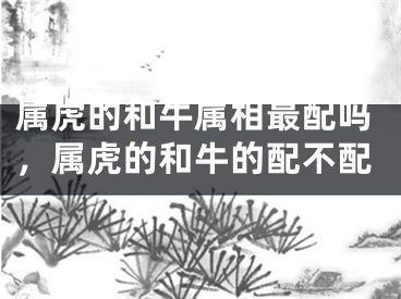 属虎的和牛属相最配吗,属虎的和牛的配不配