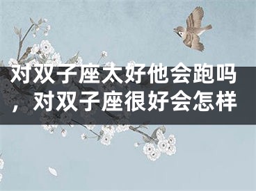对双子座太好他会跑吗，对双子座很好会怎样