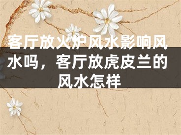 客厅放火炉风水影响风水吗，客厅放虎皮兰的风水怎样