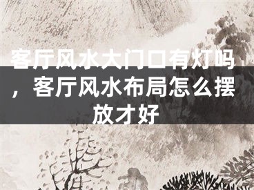 客厅风水大门口有灯吗，客厅风水布局怎么摆放才好