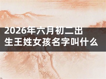 2026年六月初二出生王姓女孩名字叫什么