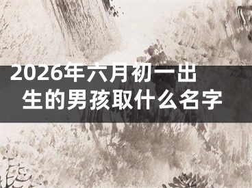 2026年六月初一出生的男孩取什么名字