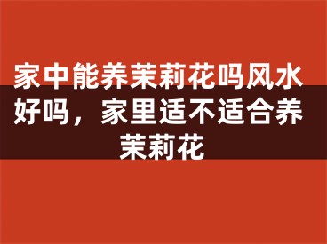 家中能养茉莉花吗风水好吗,家里适不适合养茉莉花