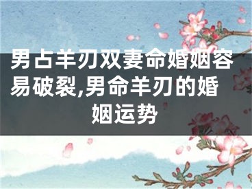 男占羊刃双妻命婚姻容易破裂,男命羊刃的婚姻运势