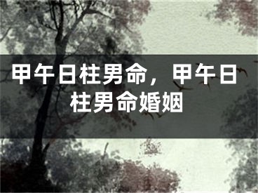 甲午日柱男命，甲午日柱男命婚姻