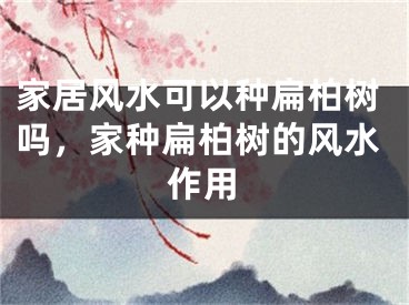 家居风水可以种扁柏树吗，家种扁柏树的风水作用