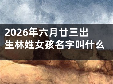 2026年六月廿三出生林姓女孩名字叫什么