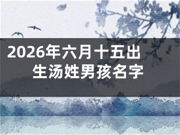 2026年六月十五出生汤姓男孩名字