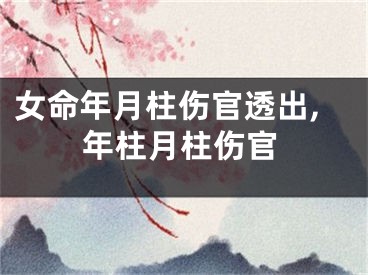 女命年月柱伤官透出,年柱月柱伤官