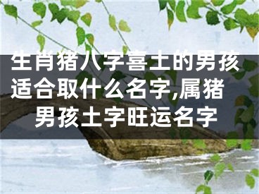 生肖猪八字喜土的男孩适合取什么名字,属猪男孩土字旺运名字