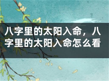 八字里的太阳入命,八字里的太阳入命怎么看