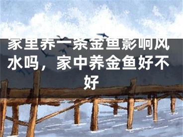 家里养一条金鱼影响风水吗，家中养金鱼好不好