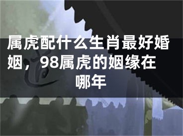 属虎配什么生肖最好婚姻，98属虎的姻缘在哪年