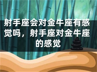 射手座会对金牛座有感觉吗，射手座对金牛座的感觉