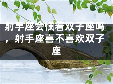 射手座会惯着双子座吗,射手座喜不喜欢双子座