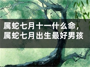 属蛇七月十一什么命，属蛇七月出生最好男孩