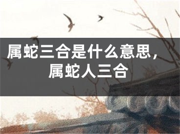 属蛇三合是什么意思，属蛇人三合