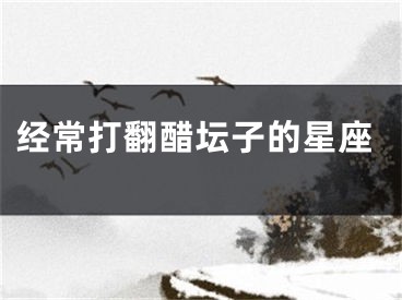 经常打翻醋坛子的星座
