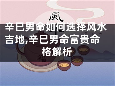 辛巳男命如何选择风水吉地,辛巳男命富贵命格解析