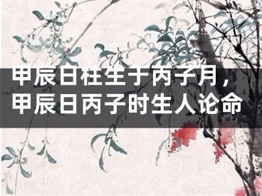 甲辰日柱生于丙子月，甲辰日丙子时生人论命